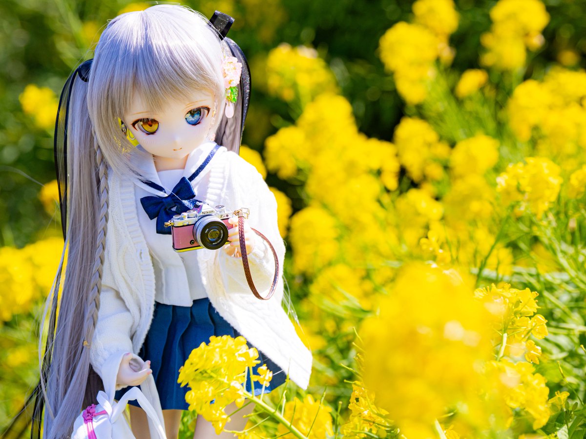 エルフィーネ🐈⸒⸒⸒ @アイドール大阪 J25-26 初出店💫💫 tweet media