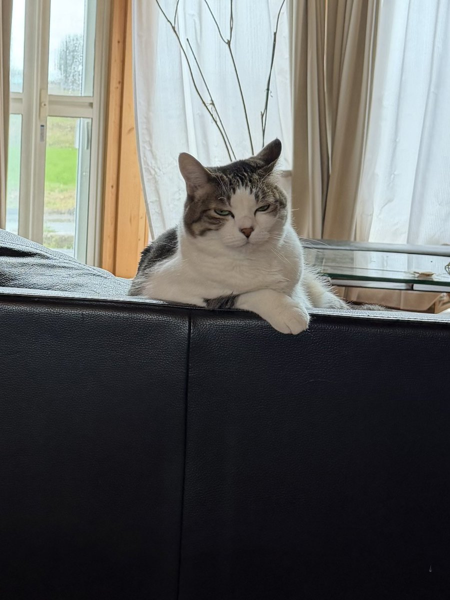 たぬKIKI tweet media