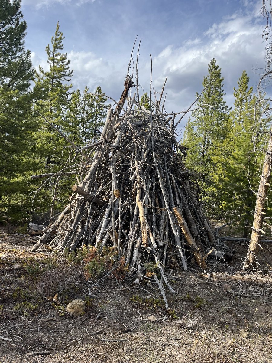 wind4me's tweet image. How many #BTU’s