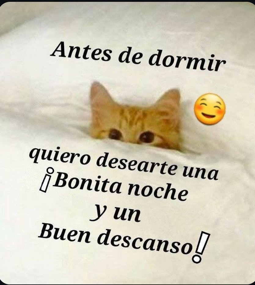 🇪🇸Vikinga Merengue . Eliana tweet media