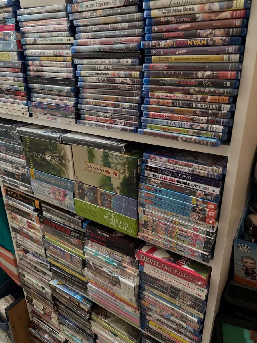 Boxuchan tweet media