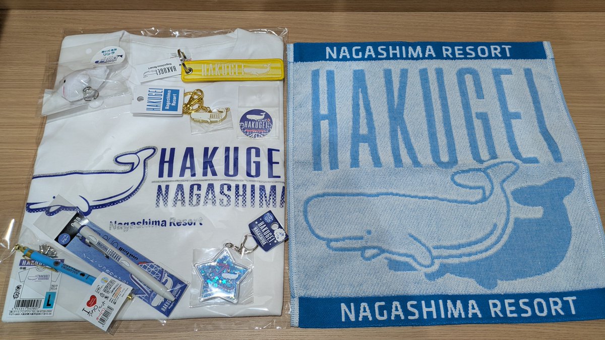 あーるえす（メダゲと絶叫好き） tweet media