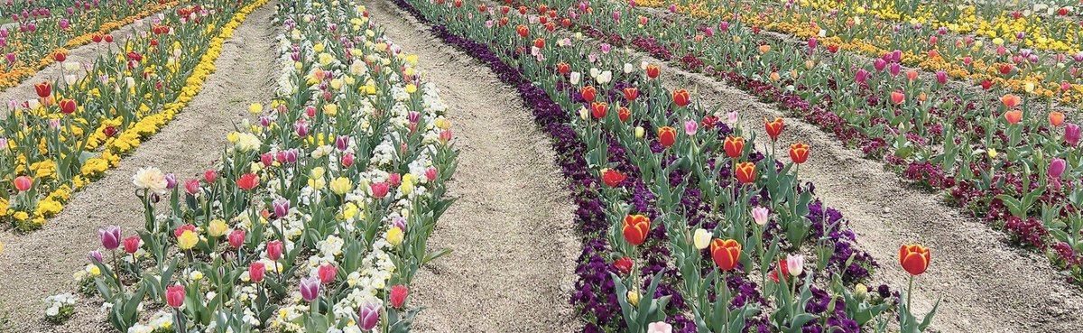 おはようございます☁️
今日は一日お天気が悪いようです…
傘のお忘れにご注意を！！

個人的にひと段落して、今年の目標をあらためて振り返る時間ができそうです！
もっと成長するために課題を整理していきます💪

今日も素敵な一日になりますように
╰(*´︶`*)╯♡