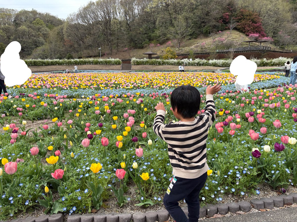 みゆちぇる🌱 tweet media