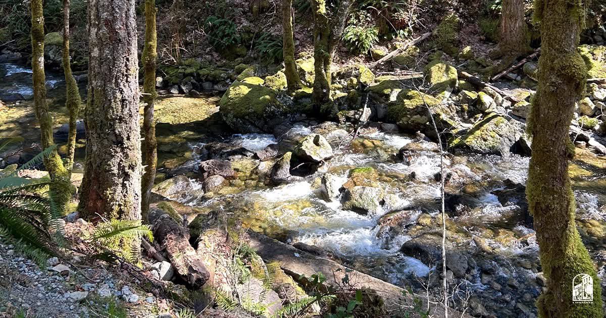 Kelly Greene tweet media