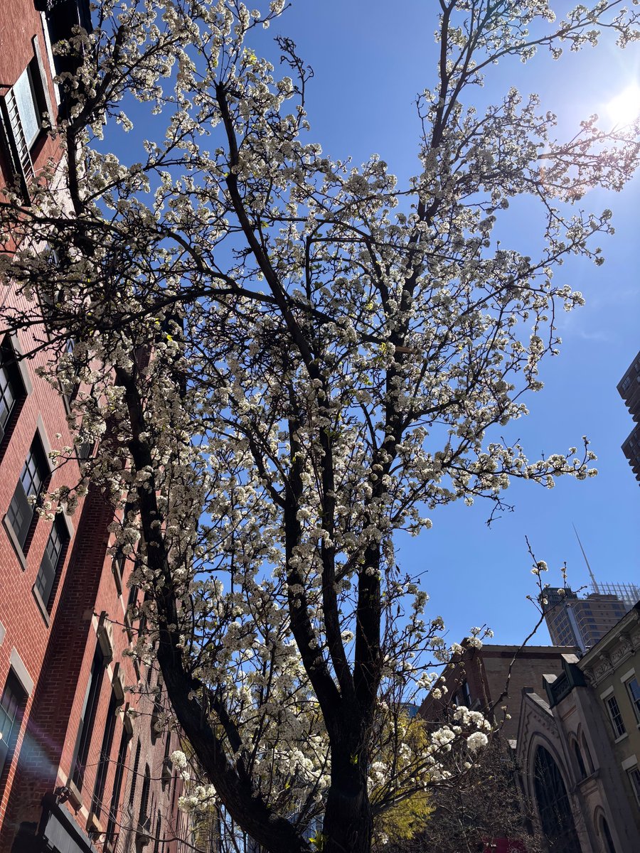 Erika Longo tweet media