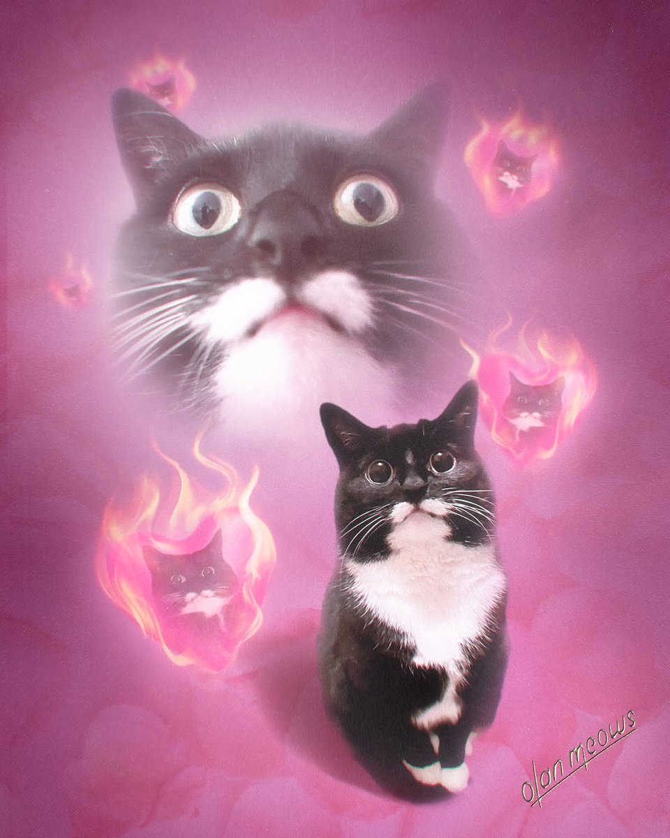 VioletK93042's tweet photo. So uh, what are we? 👉👈

Another portrait of the adorable  ❤️‍🔥

Want your own pet portrait? 🐱🐶 Order on  ⭐️ Link in bio 🤝 https://t.co/KX8gTzhJVY