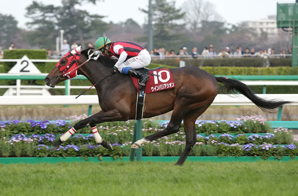 sakura bakushin iso 🏳️⚧️ tweet media