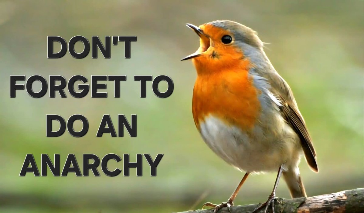 SillElliS tweet media