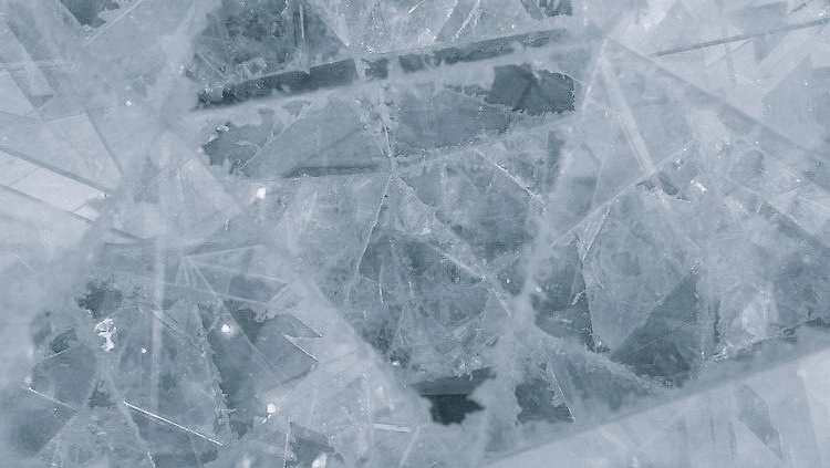 ∔ 社⛩️ ∔ tweet media