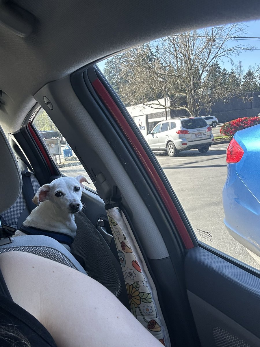 Auntie Collins | Sundays on Fightful Overbooked! tweet media