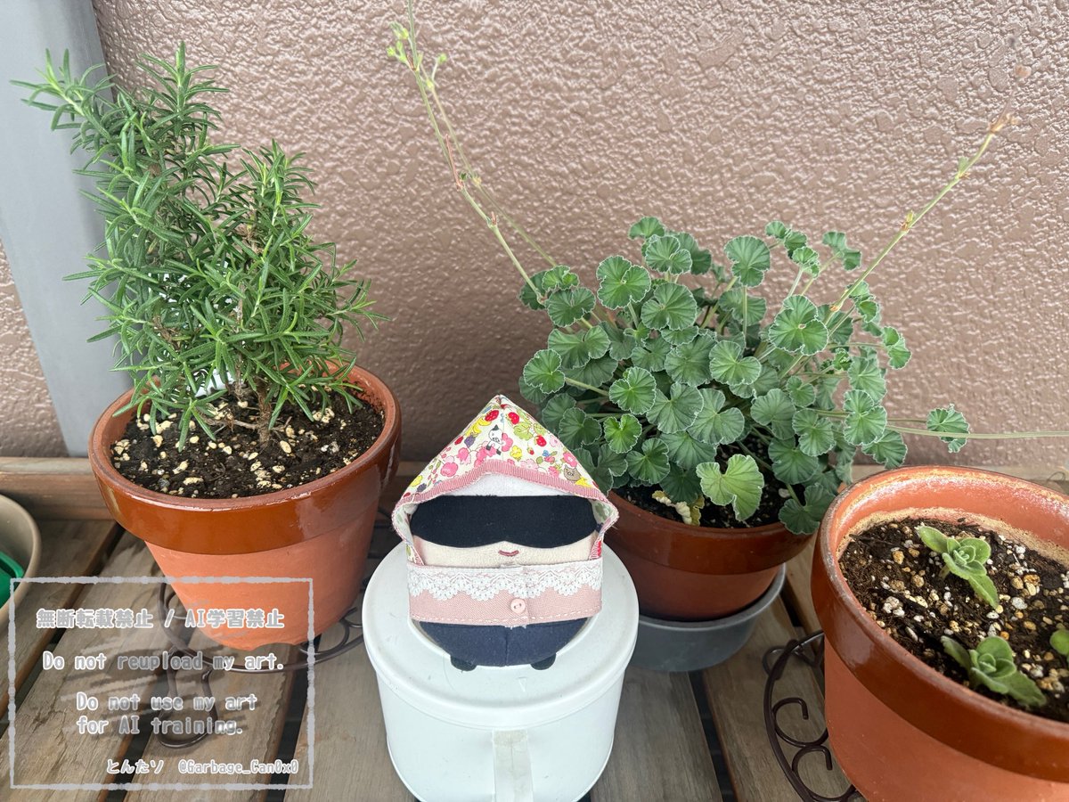 とんたソ tweet media