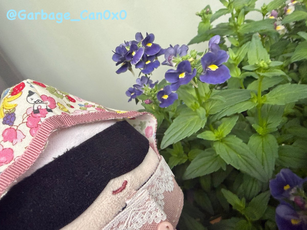 とんたソ tweet media