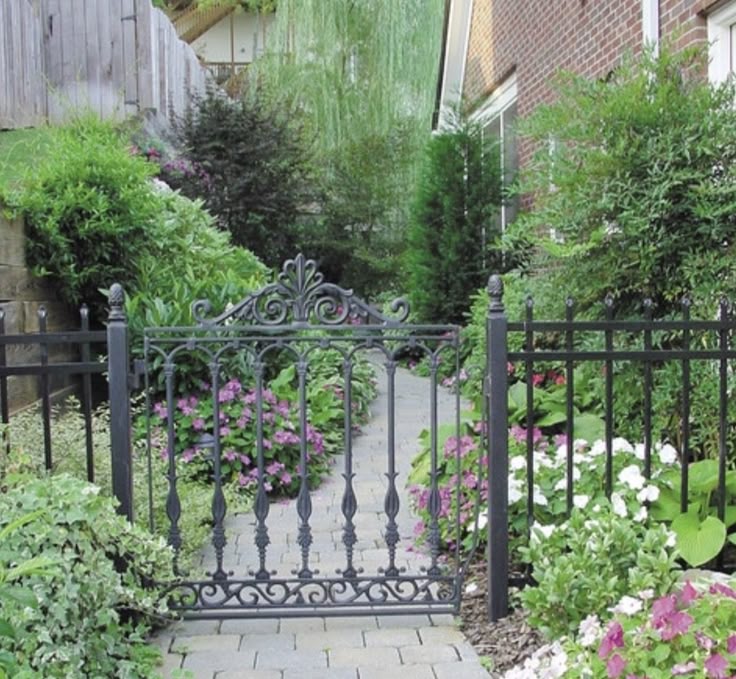 ratterz 🔜 FANIME tweet media