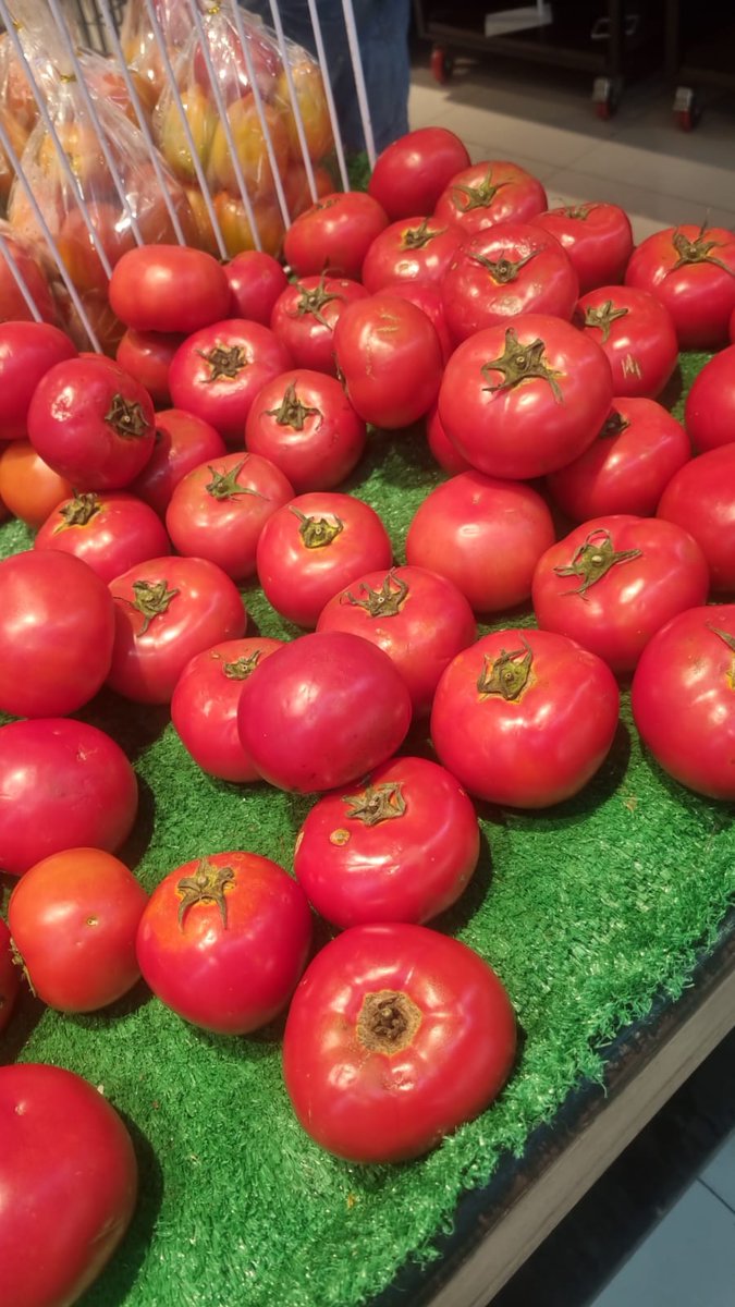 Sonya.Amriani tweet media