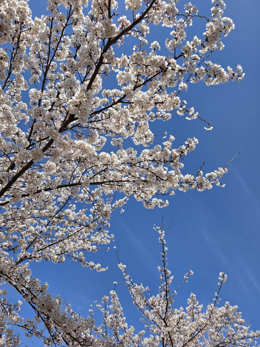 cream🫶 tweet media