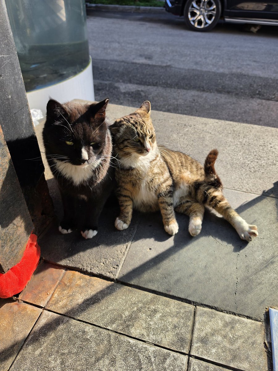 cream🫶 tweet media