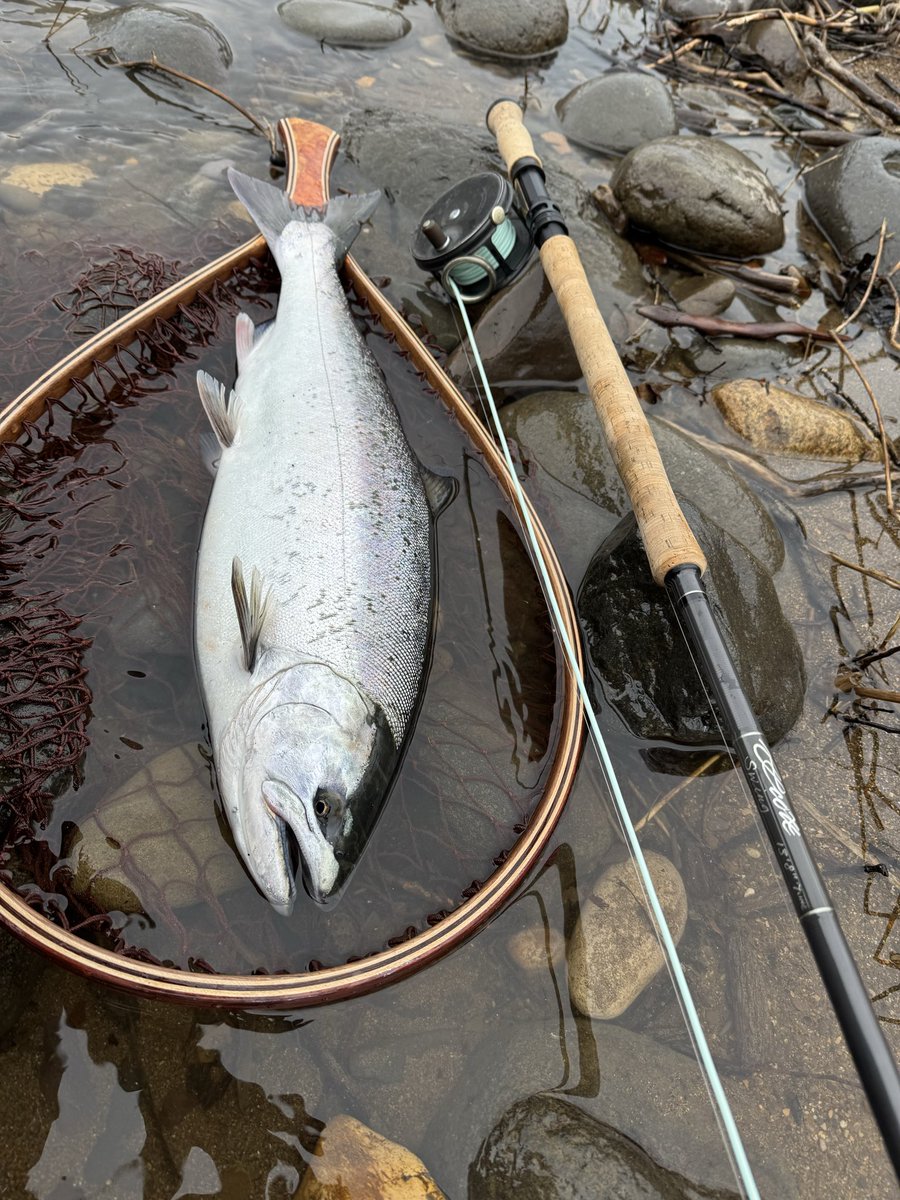 flyfishingとWrangler(キチガイ) tweet media