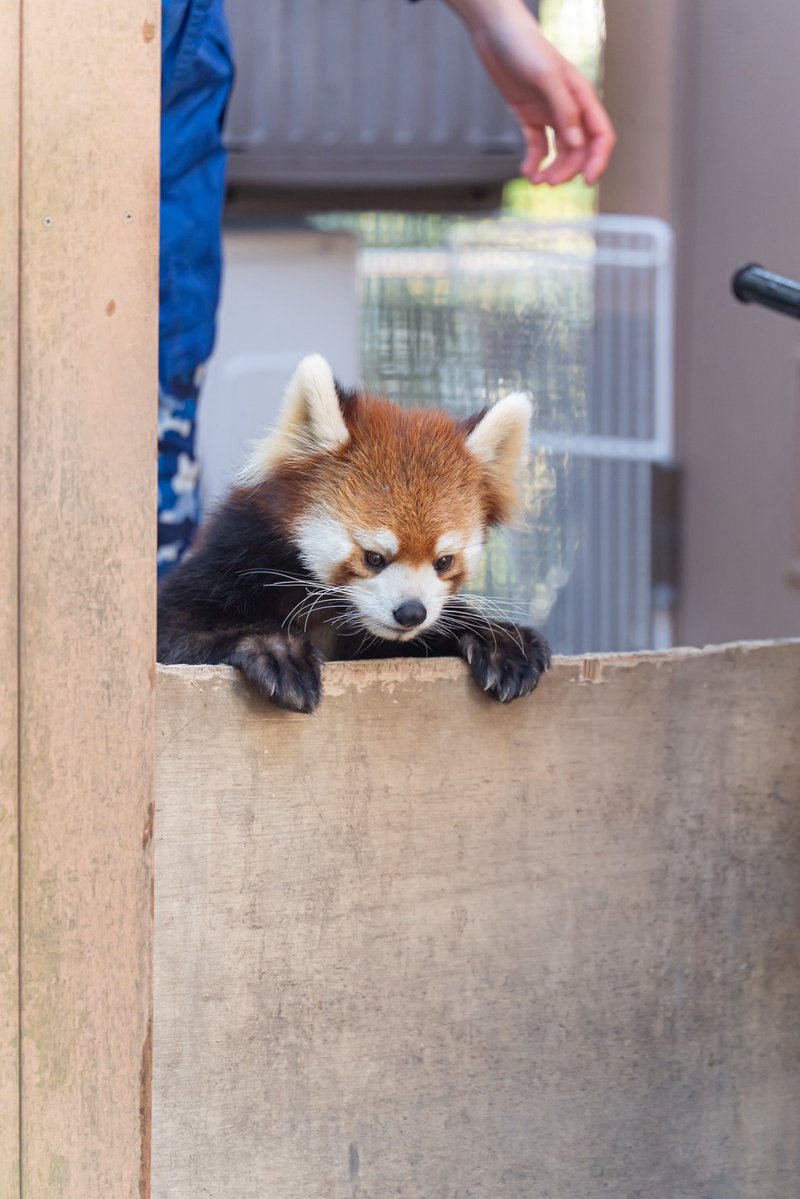 るん🐾 tweet media