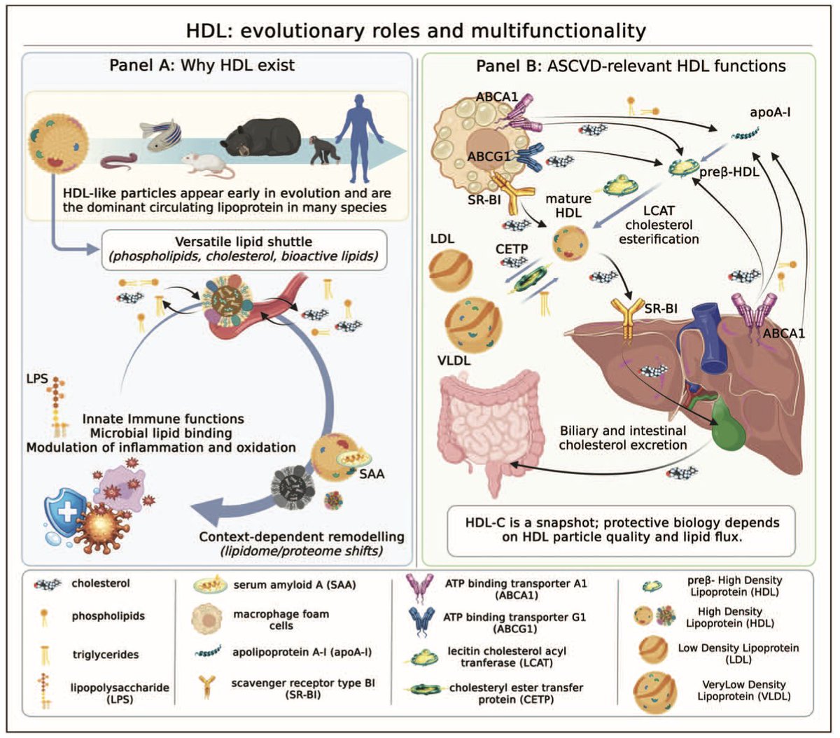 Pablo Corral MD tweet media