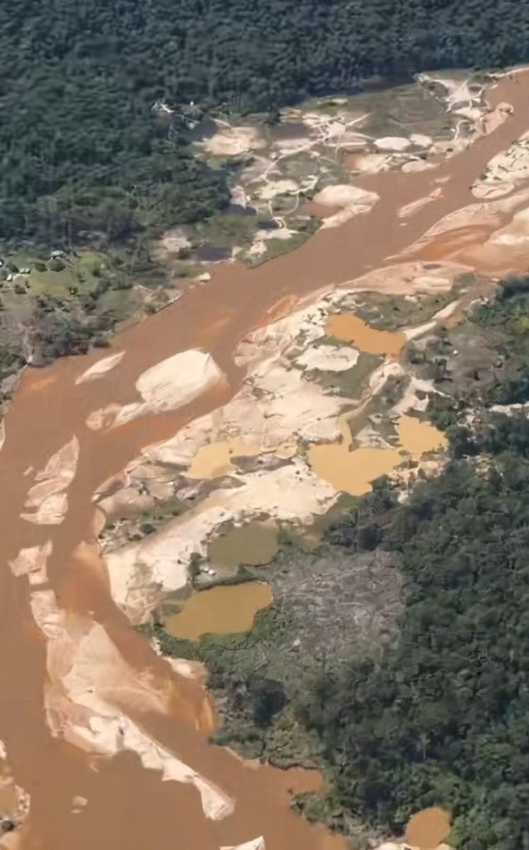 Fritz Sanchez tweet media