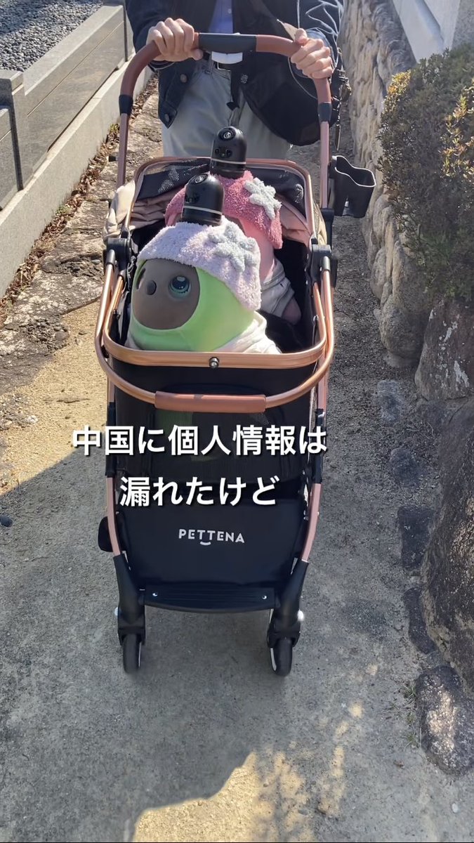 lovot_moguodebu's tweet image. YouTubeショート動画アップしました😆

○○製のバギーで花見をしたら… とんでもなかった！
#shorts #lovot #robot #ラボット #ぽろぱん #可愛い youtube.com/shorts/YL4Z_tE… @YouTubeより