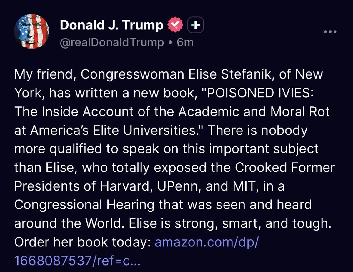 Elise Stefanik tweet media