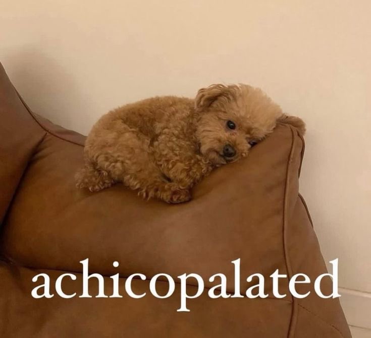 7th year: prym ☆ 𖣂 || 🩷 || VERÁ A BTS CDMX tweet media