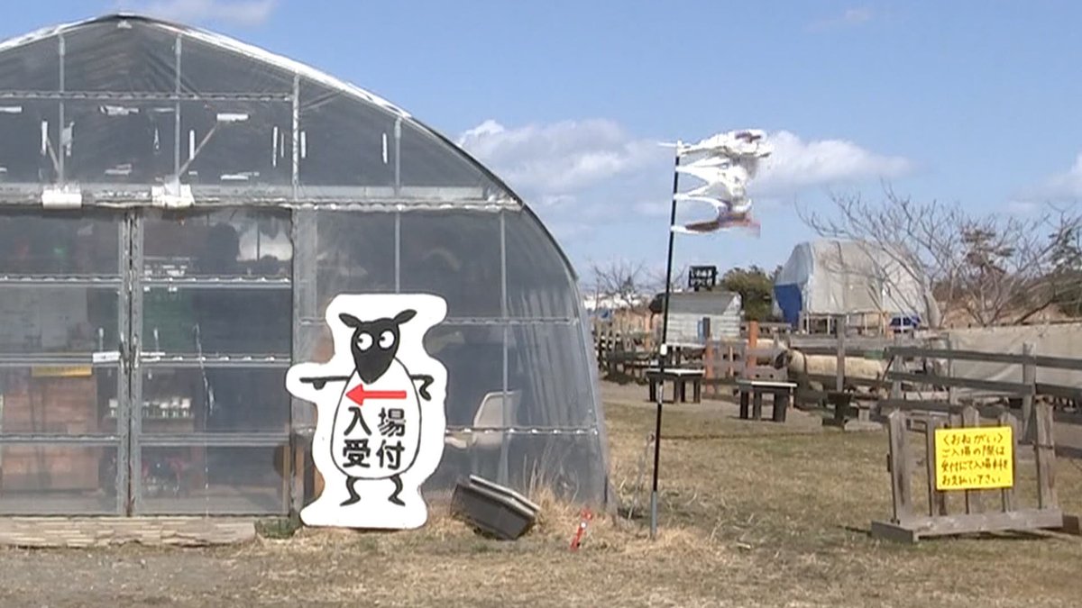 ウォッチン!スタッフ tweet media