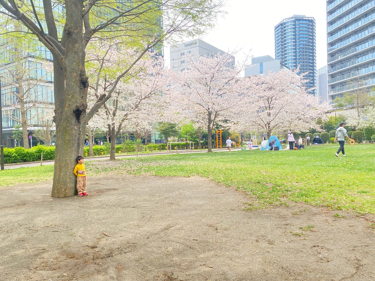 通園路、大人が「移動」と考えている時間に、子どもは「冒険」をしているんだなぁと感じます✨

桜の木の変化、道端に咲いている花、大人なら見逃す些細な変化に気づくのは、彼らの心が常に『今』を全力で観測している証拠！

この冒険が、想像力や好奇心の源泉になります！