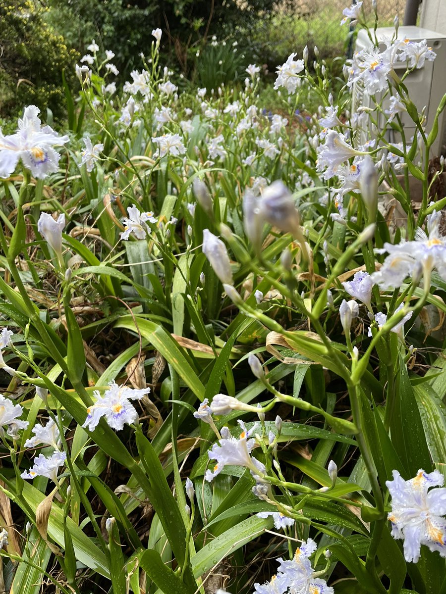 waruagira tweet media