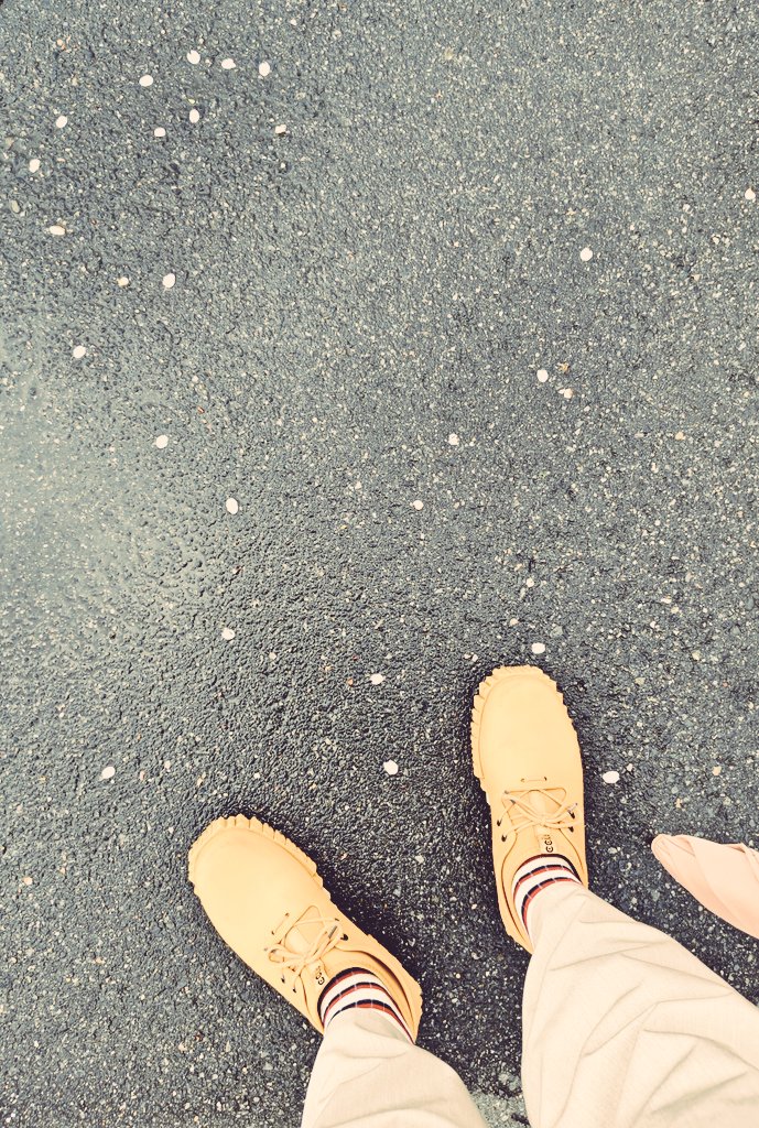 平居 正行 / Masayuki Hirai 🫘 tweet media