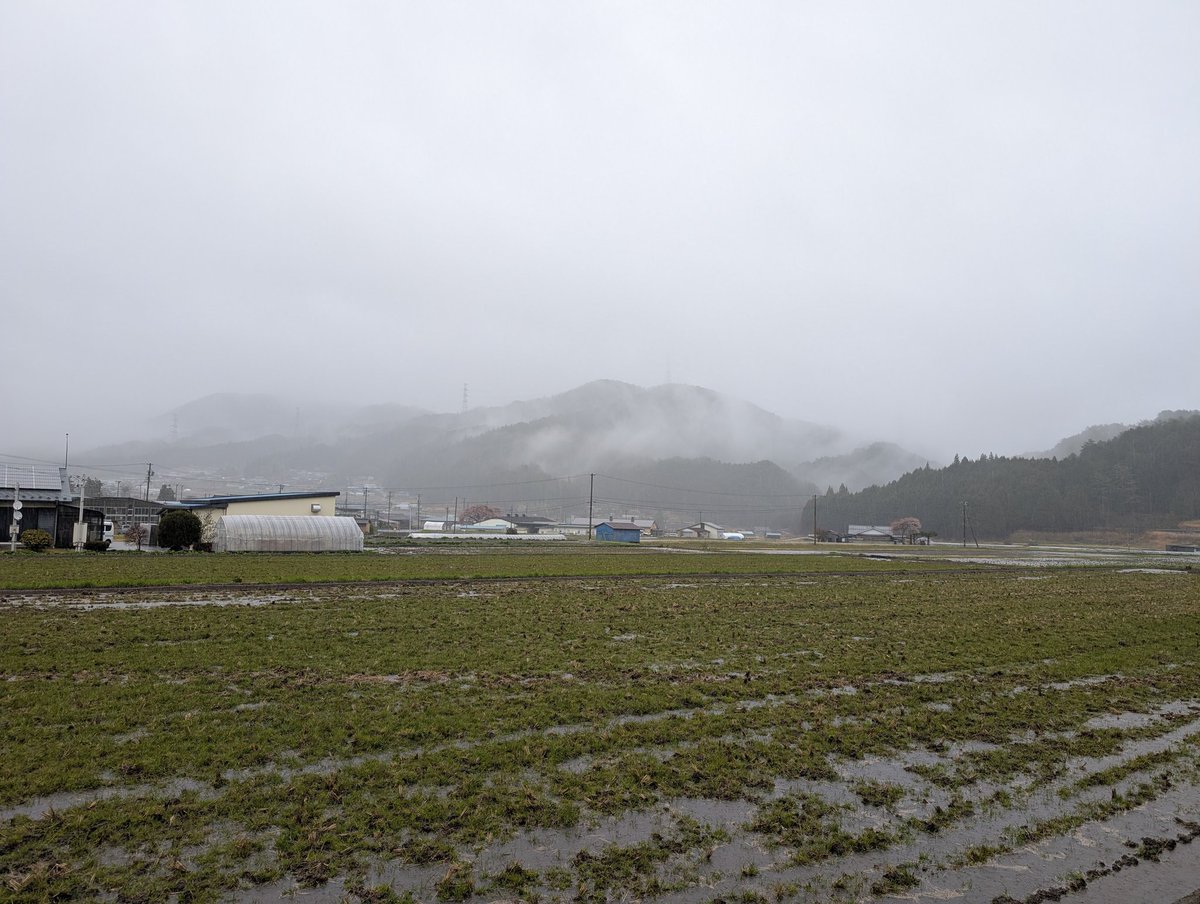 つるや菓子舗 tweet media