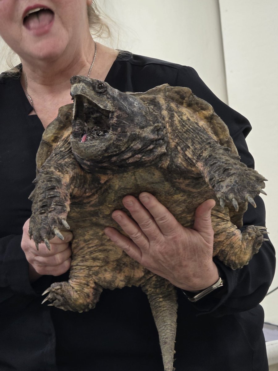 JOHNNY !! STEEL BALL RUN POSTING tweet media