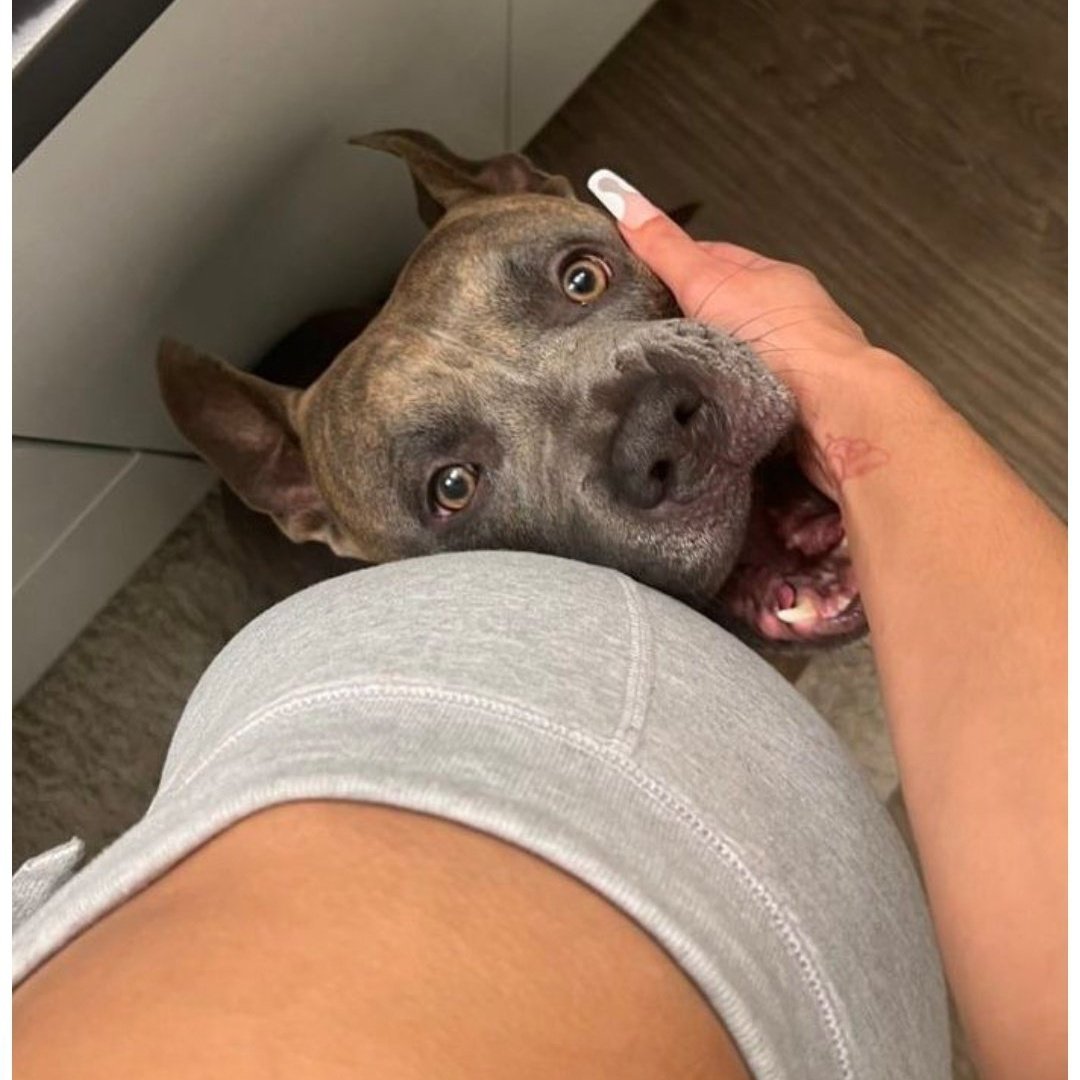 Brianna Hudson tweet media