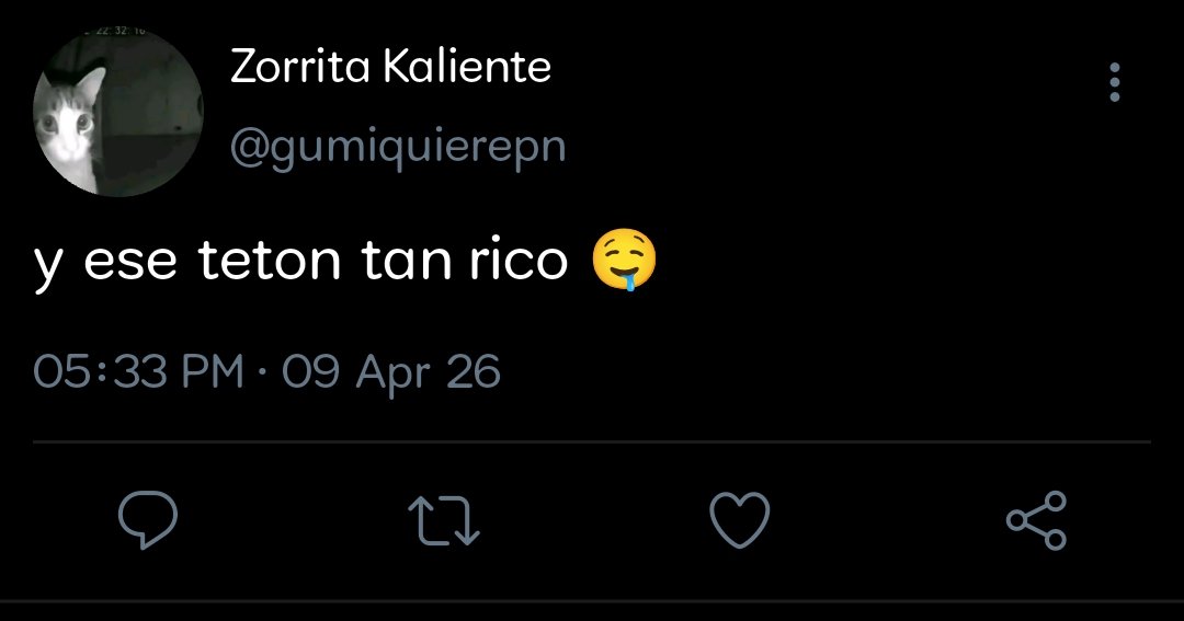 puddingo 🍮 tweet media