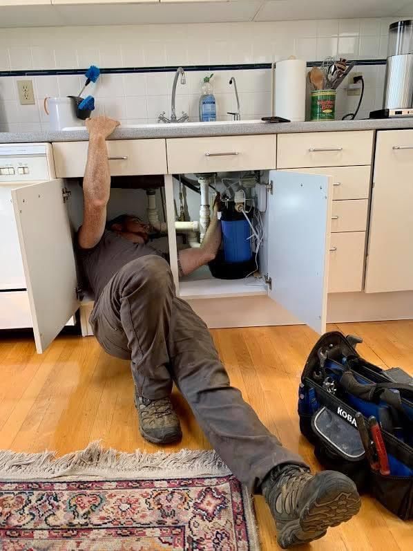 puddingo 🍮 tweet media