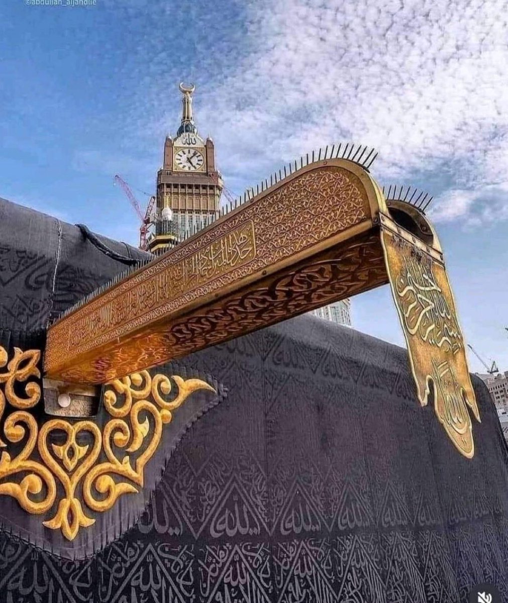 محمد التونسي tweet media