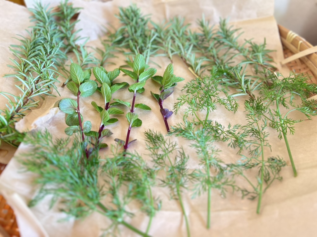 田口ランディ（Randy Taguch） tweet media