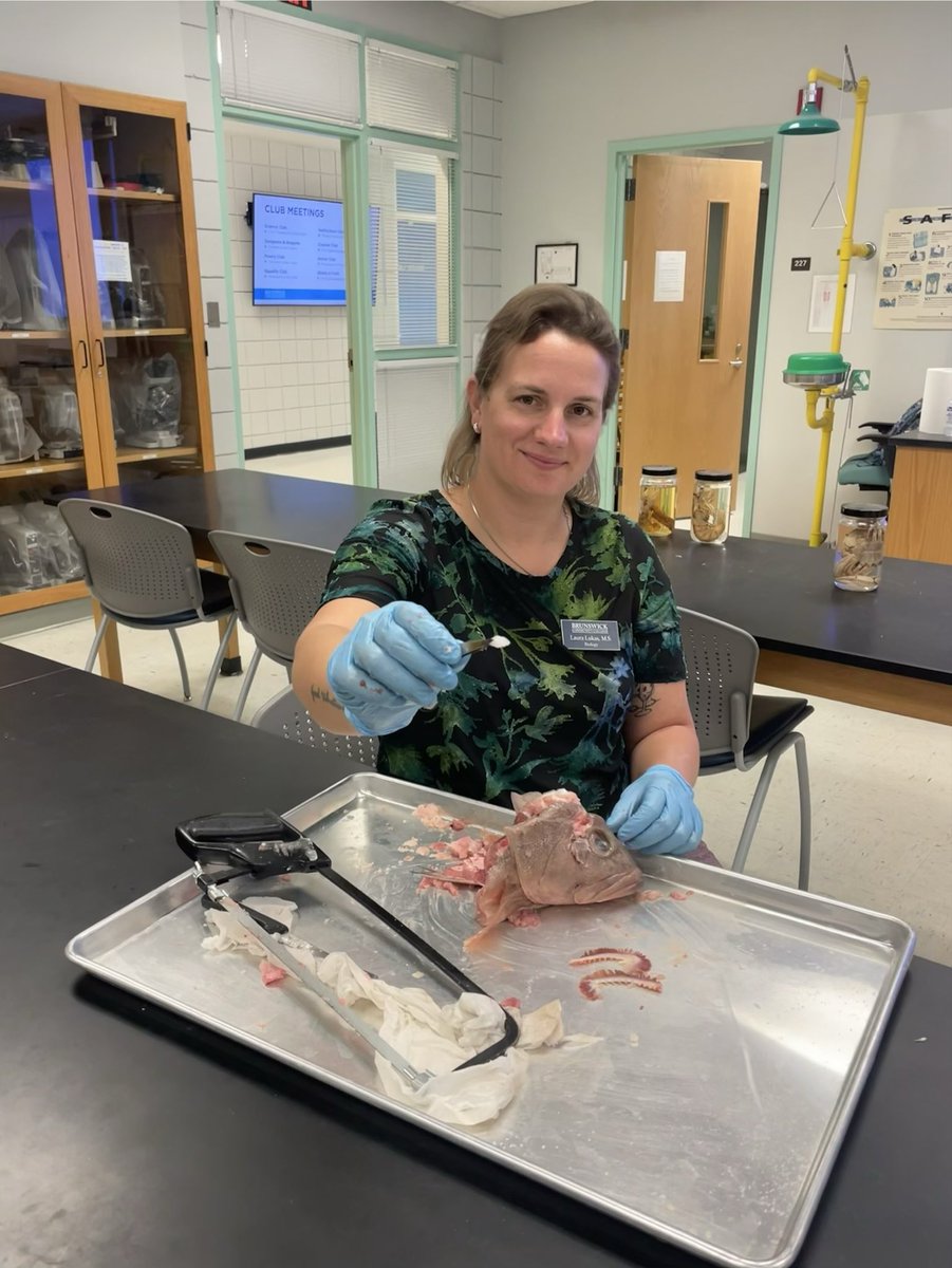 Laura Lukas 🇩🇪🇺🇸 ♠️ tweet media