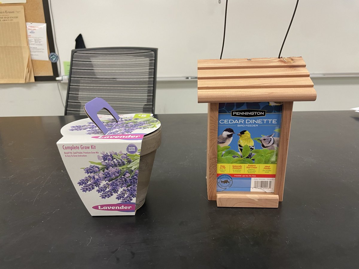 Laura Lukas 🇩🇪🇺🇸 ♠️ tweet media