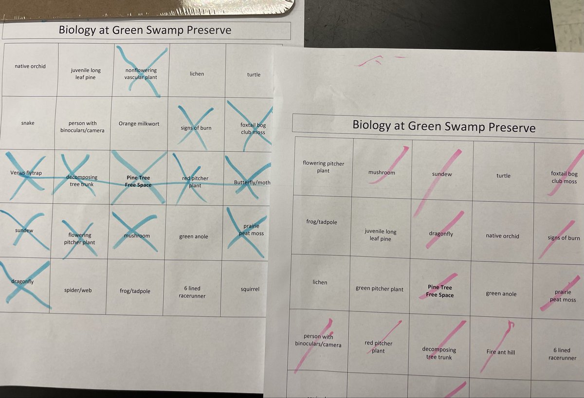 Laura Lukas 🇩🇪🇺🇸 ♠️ tweet media