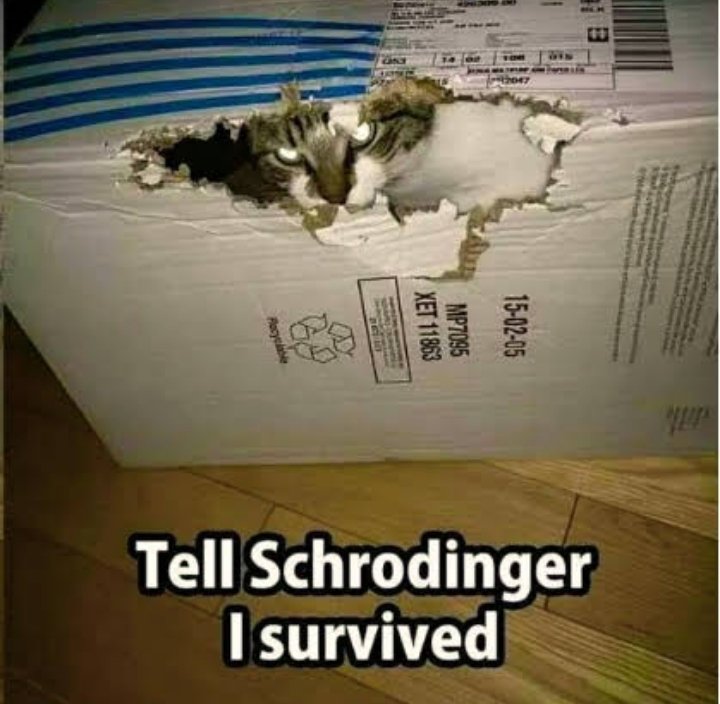 A_feening tweet media