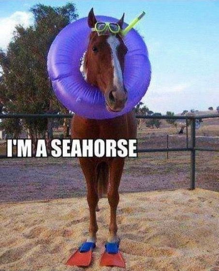 BonGreen17 🇺🇸 tweet media