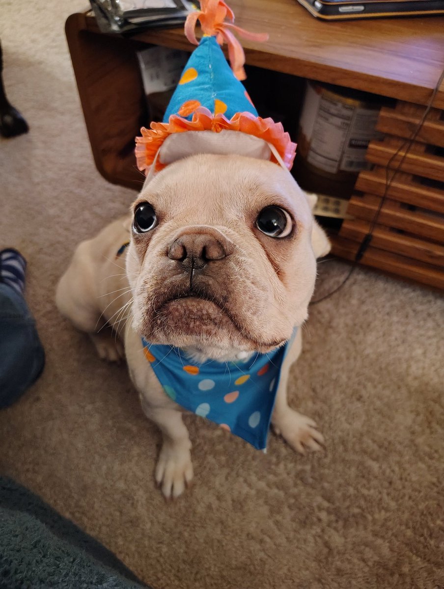 dak 🇵🇸 tweet media