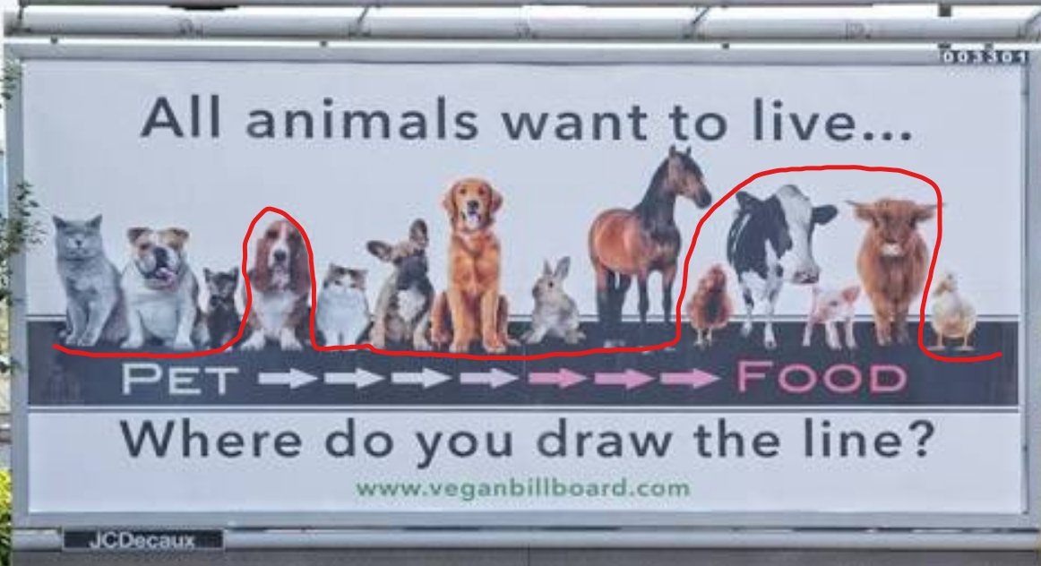 ♱ Coalz ☆ tweet media