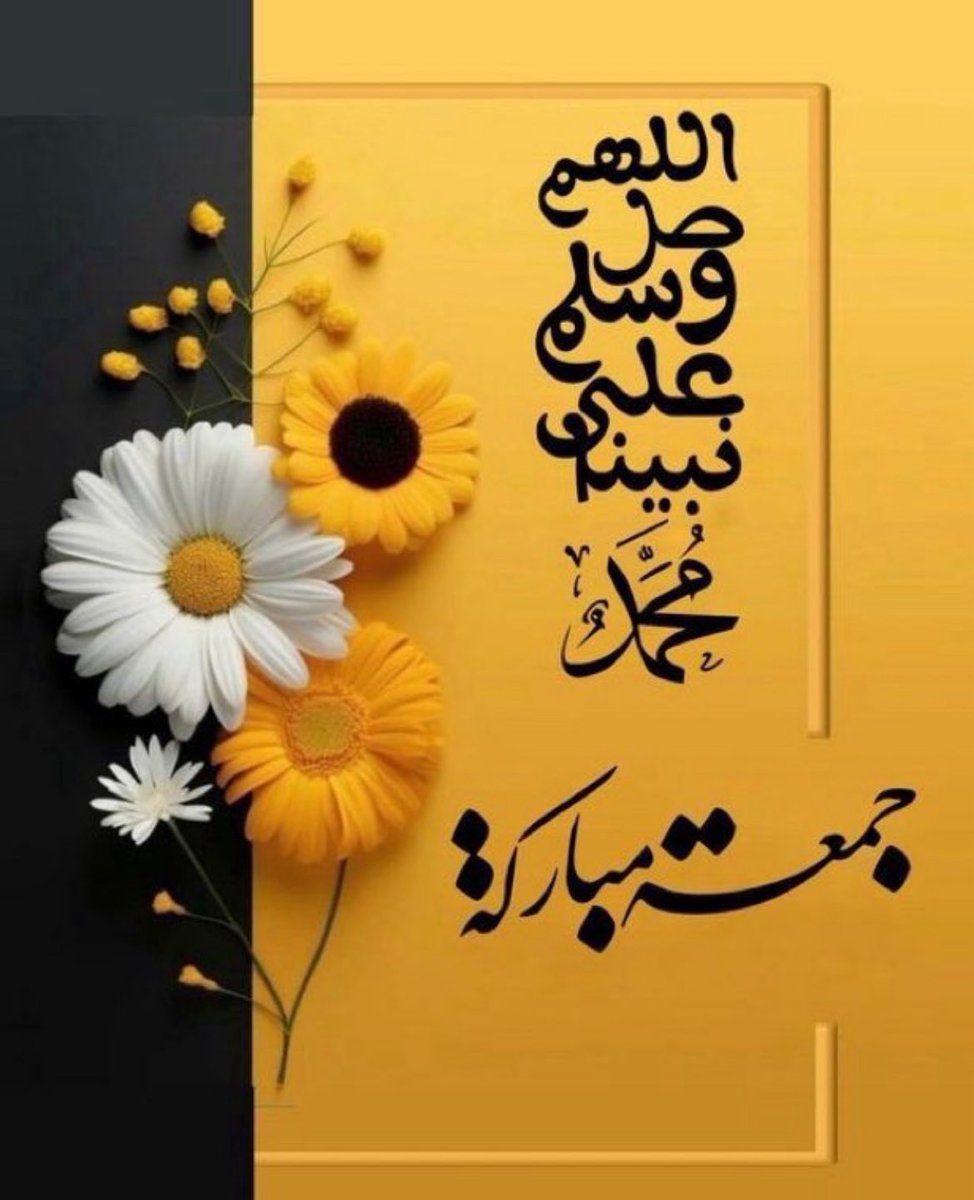 منيرة tweet media