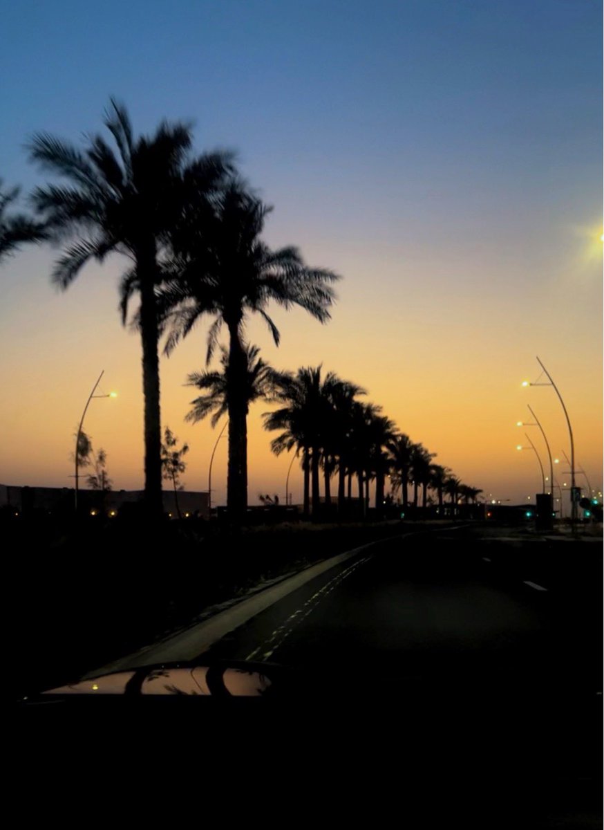 A🕊️ tweet media