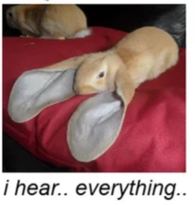 Wooper/Eloped tweet media