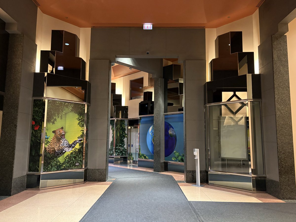 Zak Yudhishthu tweet media